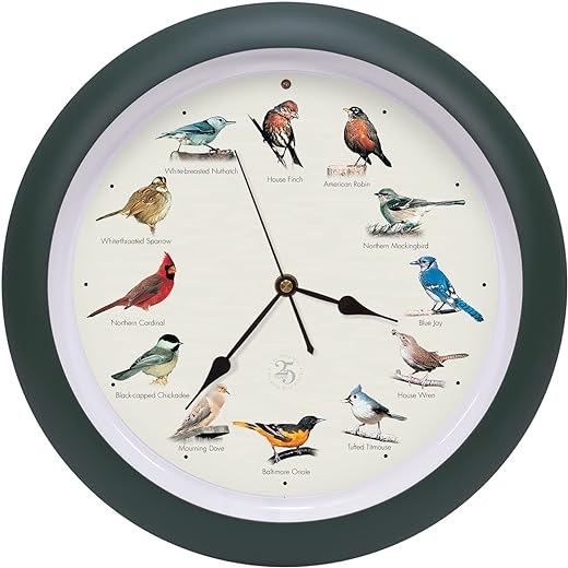 Mark Feldstein & Associates The Original Singing Bird Clock 25th Anniversary Edition, As Seen On TV (13 Inch, Matte Green)