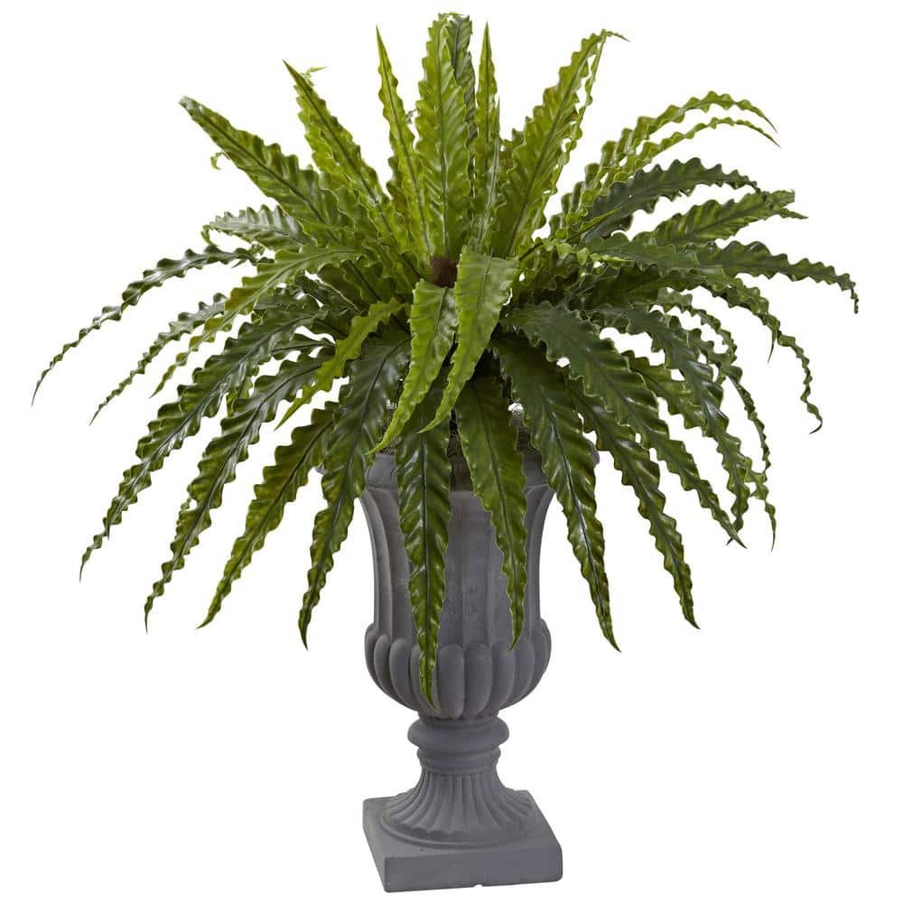 Artificial Birds-Nest Fern with Urn