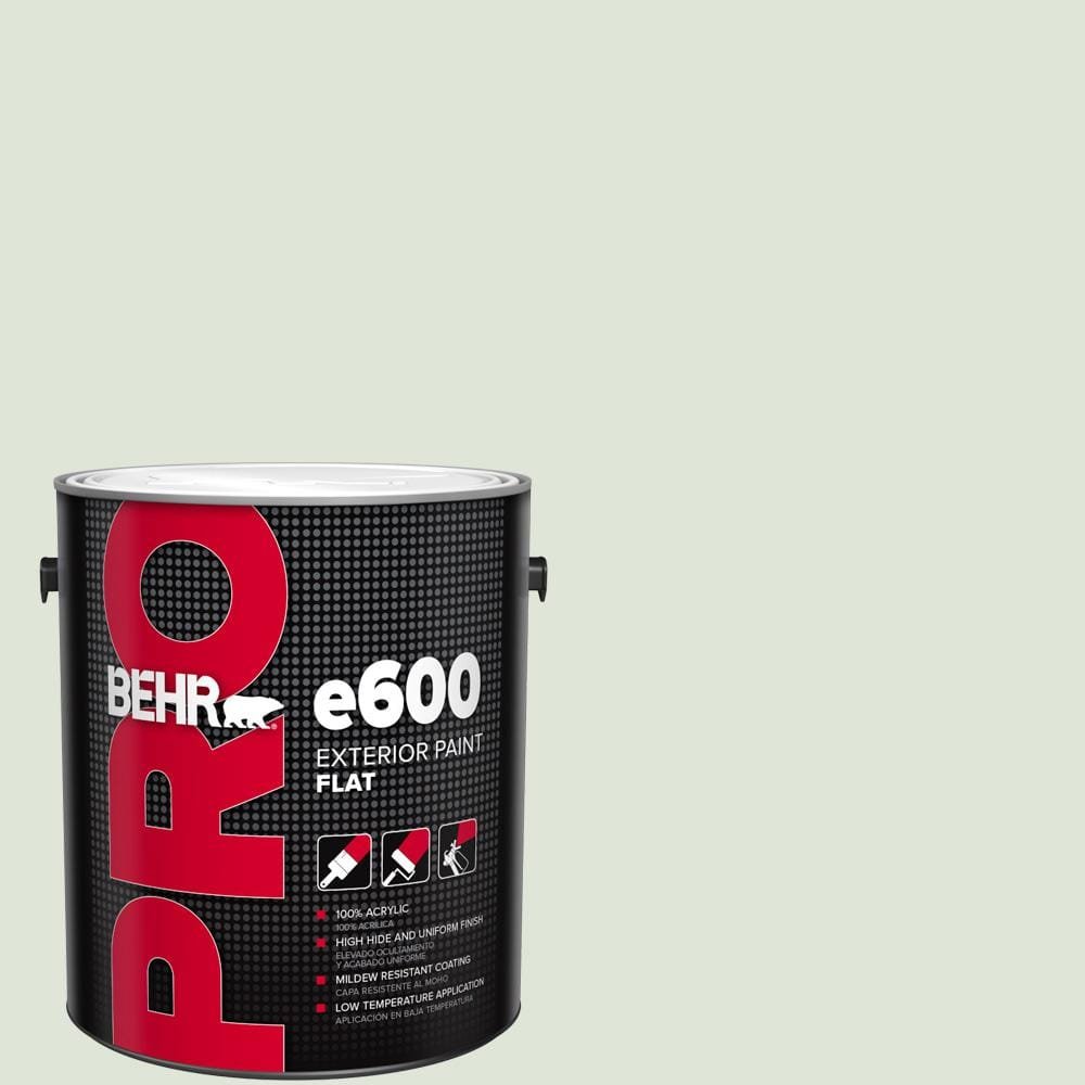 1 gal. #S390-1 Sounds of Nature Flat Paint