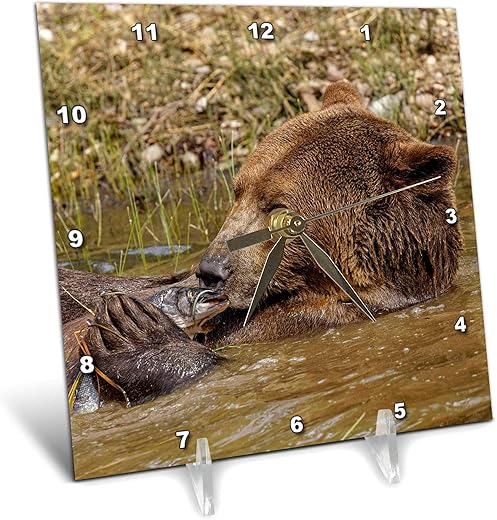 3dRose 6x6 Desk Clock - Grizzly Bear with Fish, Brown Bear. Bears