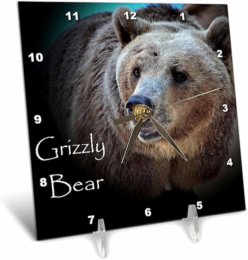 3dRose dc_53660_1 A Close-Up of a Grizzly Bear Desk Clock, 6 by 6-Inch