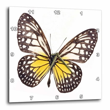 3dRose Vintage Brown n Yellow Butterfly - Wall Clock, 10 by 10-inch