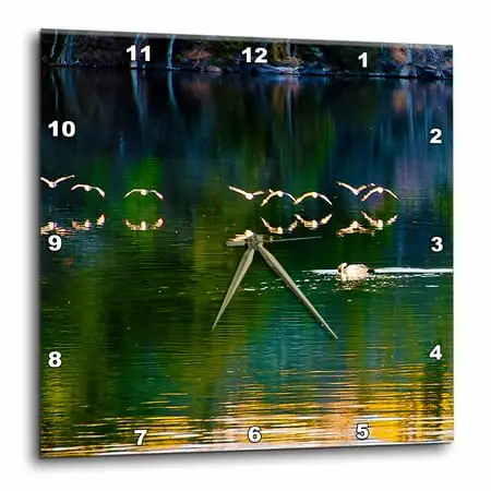 3dRose Birds Flying Over Water at Baker Dam in Utah with Their Reflection on Orange, Green and Blue Water - Wall Clock, 10 by 10-inch