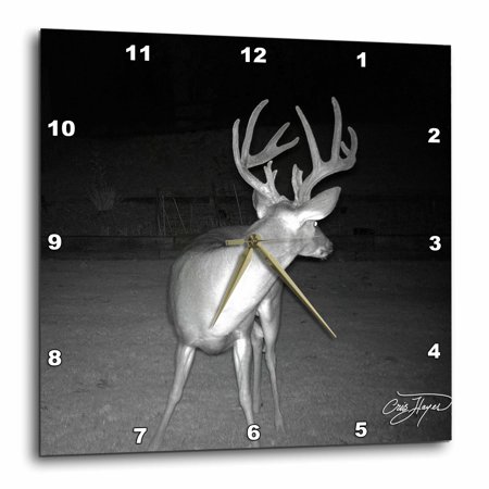 3dRose 10 Point Deer in Georgia - Huge Deer - Wall Clock, 13 by 13-inch