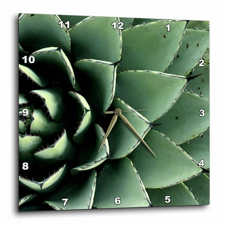 3dRose Agave cactus succulent, Santa Fe, New Mexico - US32 JMR0454 - Julien McRoberts - Wall Clock, 15 by 15-inch