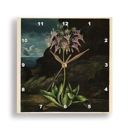 3dRose DPP_98644_2 Vintage of 1807 Painting from Unusual Botany Book with Ship in Background-Wall Clock, 13 by 13-Inch