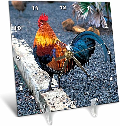 3dRose LLC Rooster Desk Clock, 6 by 6-Inch