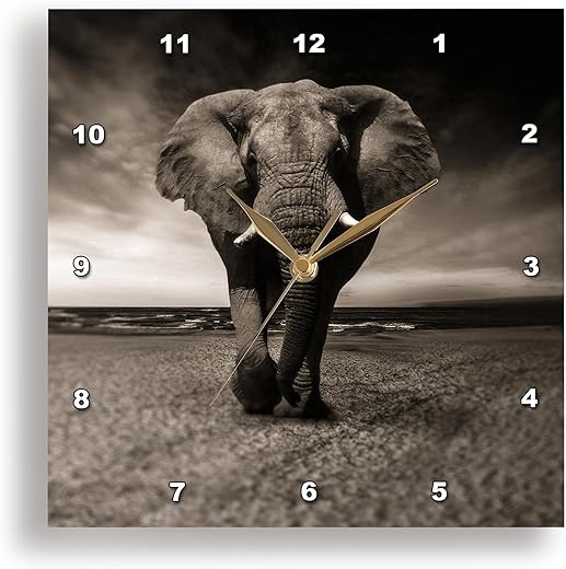 3dRose Wall Clock Silent - 13 inch - African Wildlife Elephant Mammal Zoo Jungle - Animal