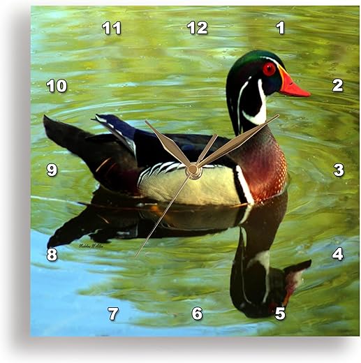 3dRose Wall Clock Silent - 13 inch - Wood-Duck - Reflections at The Pond - Bird Art Designs