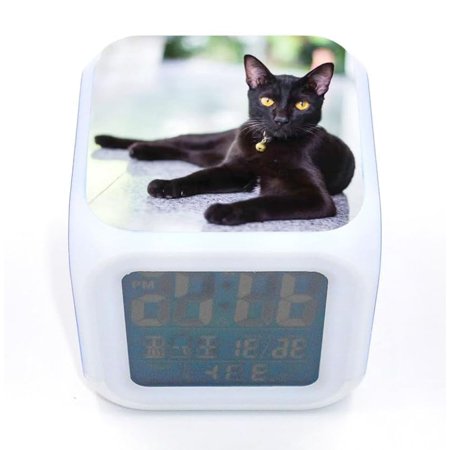 Bocaihua New Bombay Cat Kitten Pet Black Alarm Clock Desk Clock Digital Alarm Clock[3033]