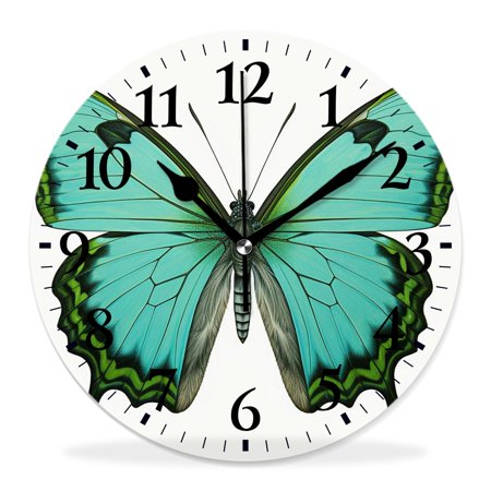 generic Silent Non Ticking 12 inch Round Wall Clocks,Butterfly Realistic Exotic Wildlife Creature Drawing,Decorative Clocks for Living Room Kitchen Bedroom