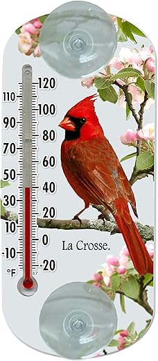 Lacrosse 204-1081 8-inch Analog Capillary Window Thermometer with Cardinal