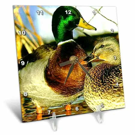 Mallard Duck 6x6 Desk Clock dc-832-1