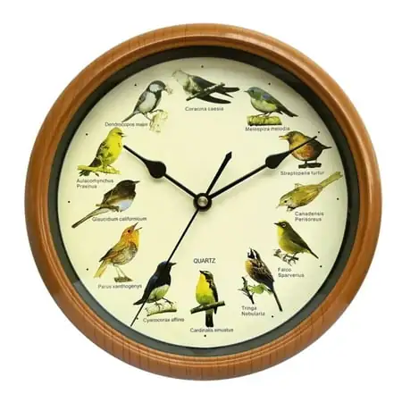 Menolana 10 Modern Singing Bird indoor Wall Clock, Easy Installation