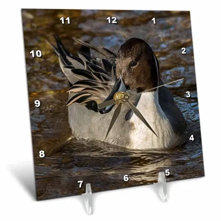 Pintail Duck 6x6 Desk Clock dc-281726-1