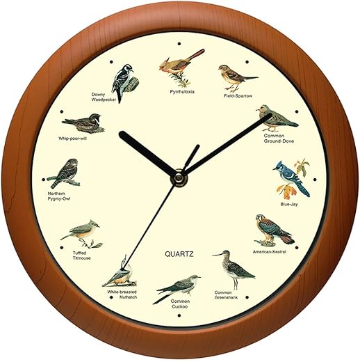 Singing Bird Wall Clock 12 Inch of The Bird Names and Songs