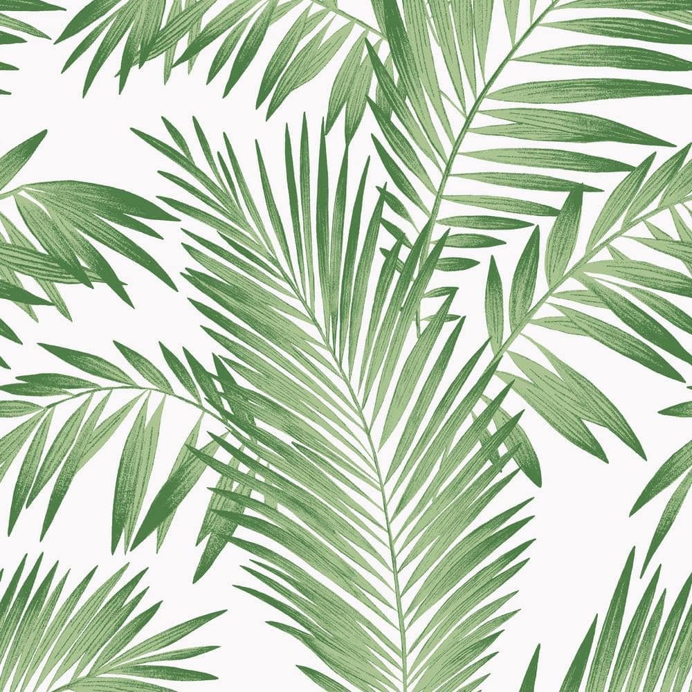 Tropical Palm Paper Non-Pasted Wallpaper Roll (Covers 57 Sq. Ft.)