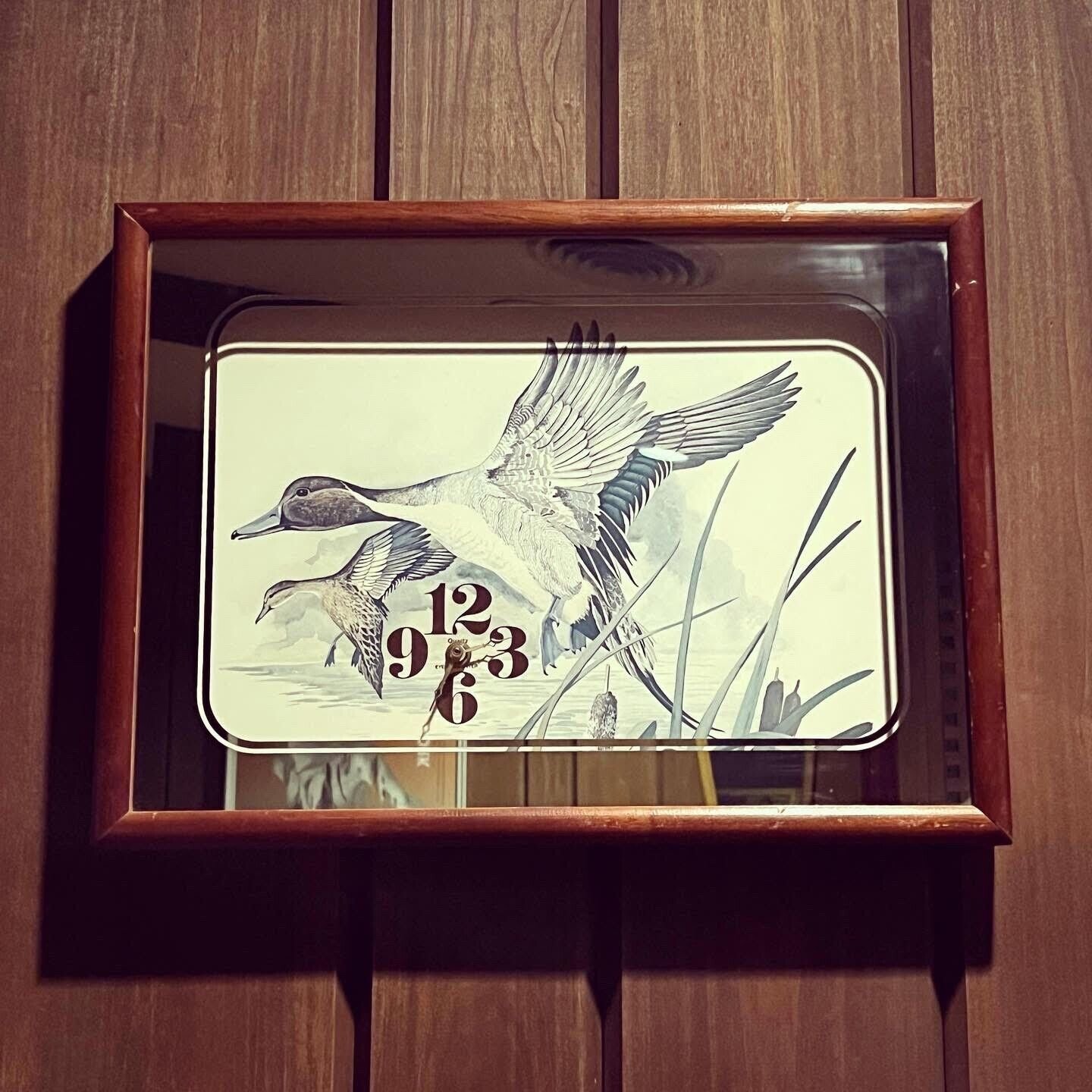 Vintage Eye Encounter Shadowbox Wall Clock - MCM Mallards/Ducks/Geese
