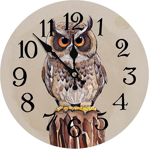 Vintage Rustic Country 12Inch Analog Wall Clock, Beautiful Hand Drawn Owl, Silent Non Ticking, Easy to Read, Satisfaction Guarantee