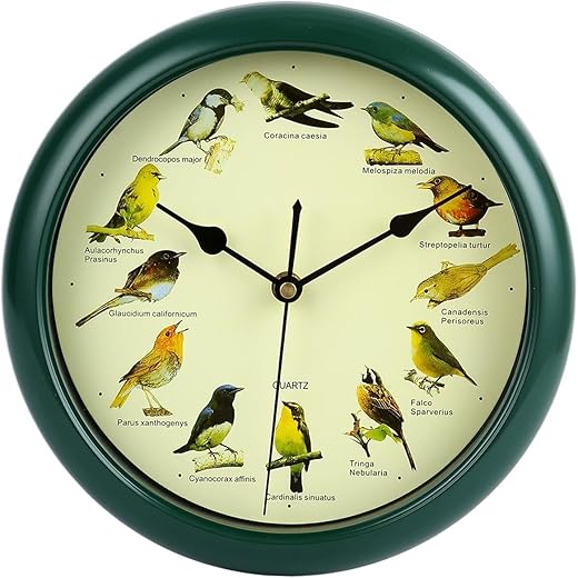 10inch Singing Wild Bird Wall Clock Battery Powered Green Frame for Bar Cafe, 25cm diameter