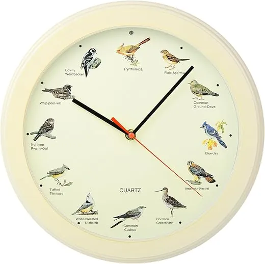 13 Inch Singing Bird Wall Clock Light Sensor Bird Clock That Sings on Hour (White Wood Grain)