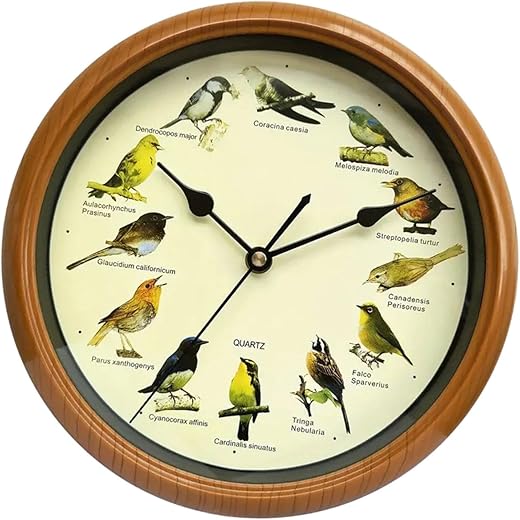 Bird Wall Clock Bird Clock with Sound That Sings on Hour,Silent Wall Hanging Clock,Decorative Wall Clock for Home Office