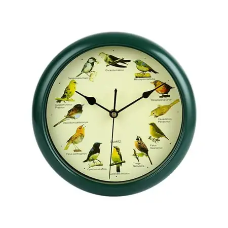 Flameer 10.24 Quartz Singing Bird Indoor Wall Clock, Easy Installation