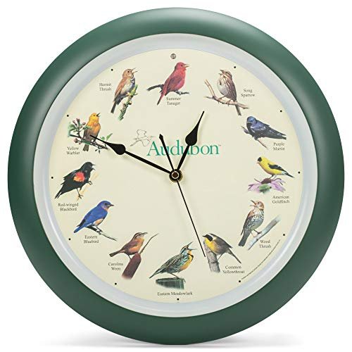 Best Audubon Singing Bird Clocks