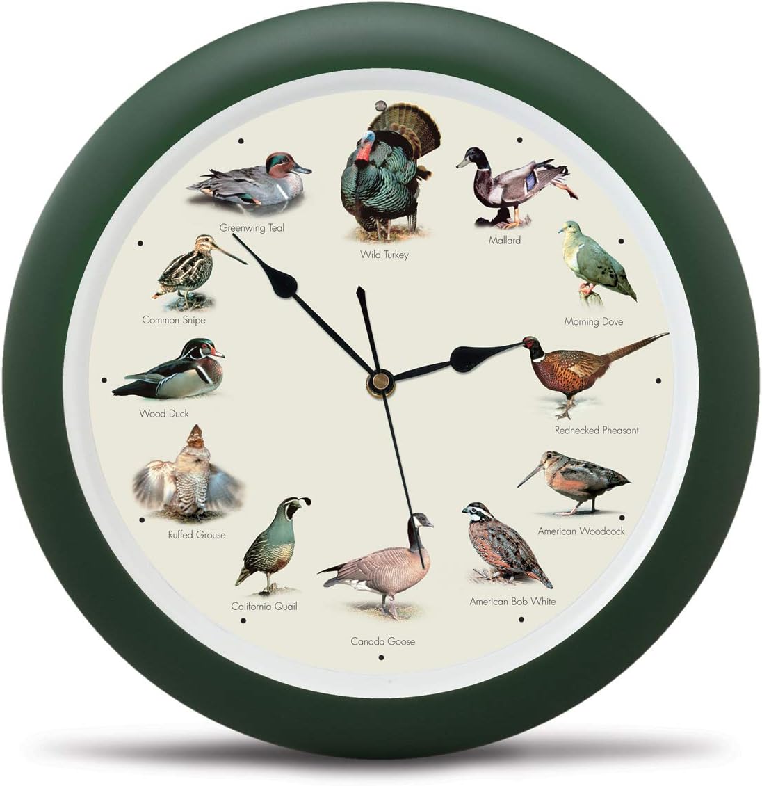 Singing Wild Game Birds of North America Hunting Wall Sound Clock, 13 Inch