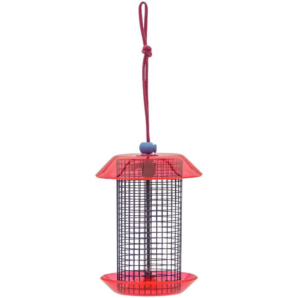 Small Sunflower Seed Feeder Color Pop Collection in Blue and Fuchsia