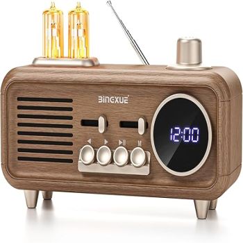 Vintage Clock Radio FM with Bluetooth Speaker, Portable Retro Radios with 2 Warm Light, Strong Reception and Bluetooth 5.4 Fast Connectivity, Transistor Plug in Wall for Home, Kitchen, Cafe