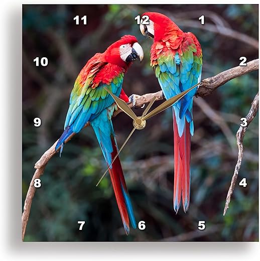 3dRose Wall Clock Silent - 10 inch - Brazil, Jardim, Sinkhole of The Macaws. Red and Green Macaws Together. - Parrots