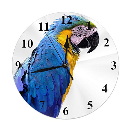 HGOD DESIGNS Macaw Parrot Round Wall Clock,Blue and Gold Beautiful Macaw Parrot Bird Showing Its Vivid Feathets Round Wall Clock Home Garden Wall Decorative for Bedroom Office School Art(10)