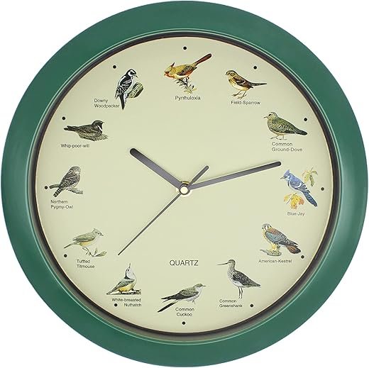 Singing Bird Wall Clock 12 Inch Bird Singing Clock for Home or Office Room Decorative (Green)