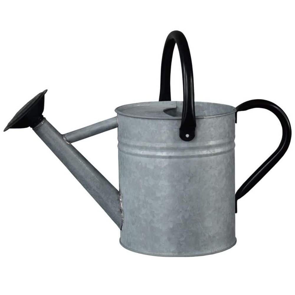 Small Silver 0.5 gal. Outdoor Steel Watering Can Sliver Galvanized Steel Watering...