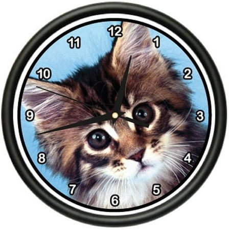 MAINE COON KITTEN Wall Clock cat cats owner breeder