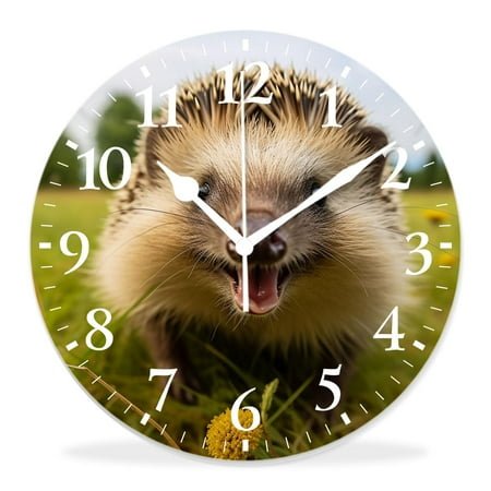 12 Inch Wall Clock Battery Operated Silent Clock Decorative for Office, Kitchen, Outdoor, Living Room，Funny Cute West European Hedgehog Animal on Green Grass Meadow Creative